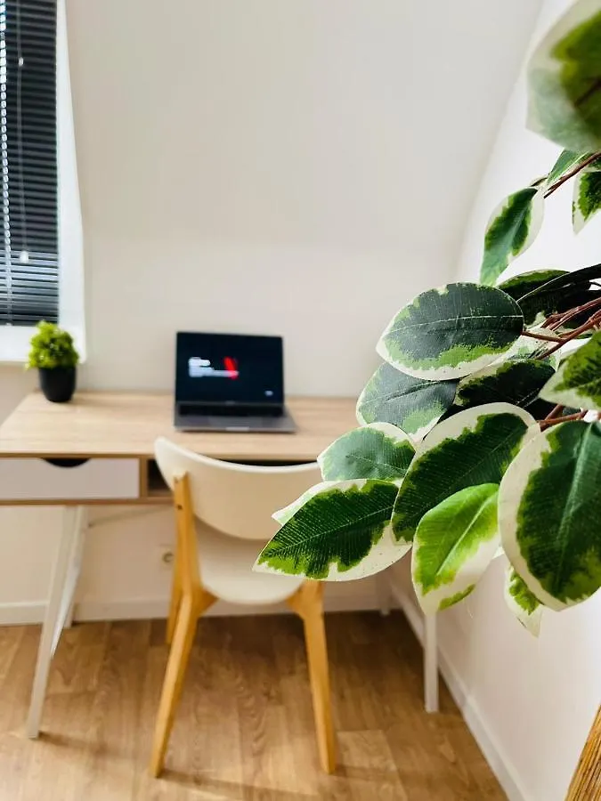 Balille Apartment Lille