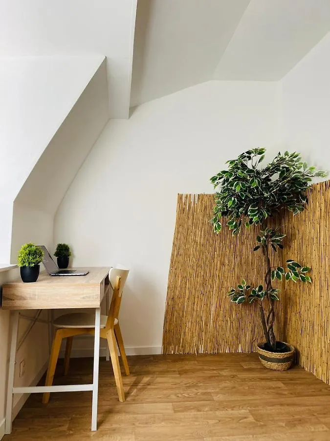 Balille Apartment Lille